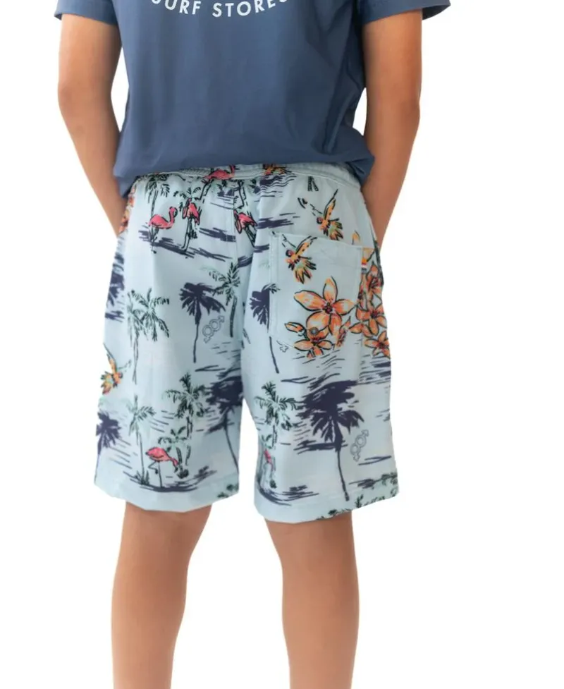 Kids Golden Breed Kids-Flamingos Elastic Boys Boardie |